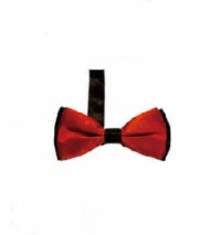 BT021 design two color matching tie for men and women bridegroom's best man evening performance collar tie manufacturer detail view-11